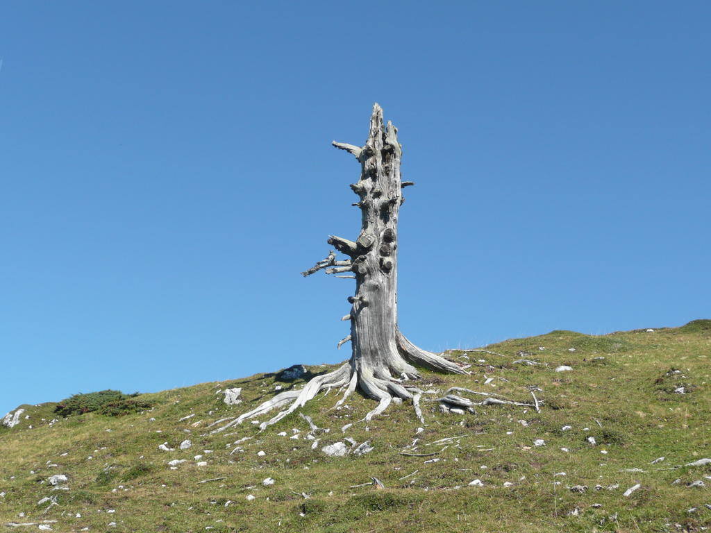 Villa Alpenchic Nötsch Esterno foto